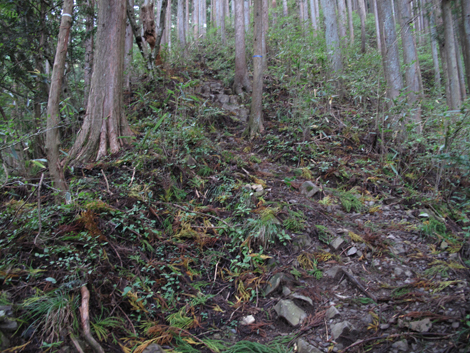 20181009hike (92)